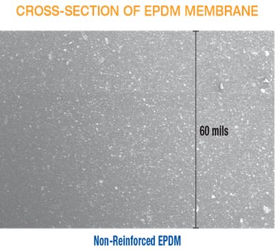 Cross Section EPDM