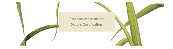 Find Out More About Xorel's Certification