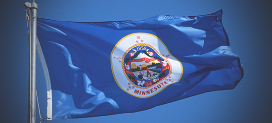 Minnesota State Flag