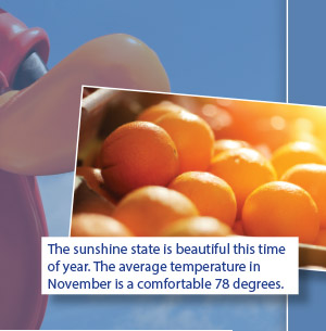 The sunshine state is beautiful this time of year. The average temperature in November is a comfortable 78 degrees.