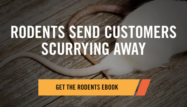 Rodents Send Customers Scurrying Away