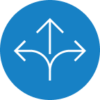 Flexible Icon