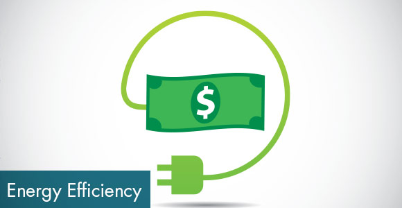 Energy Efficiency